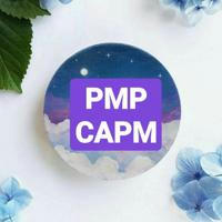 تجميعات اختبارات CAPM & PMP