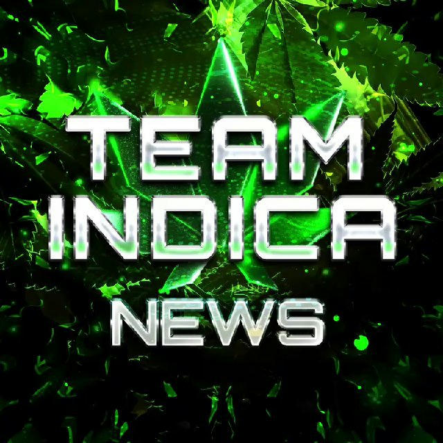 TEAM INDICA NEWS 🌳