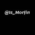 MoRfiN
