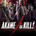 Akame Ga Kill