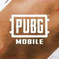 PUBG store