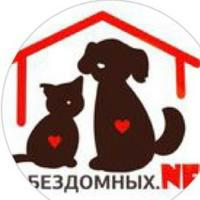 Bezdomnih_net_vladikavkaz