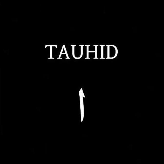 ༺TAVHID ༻