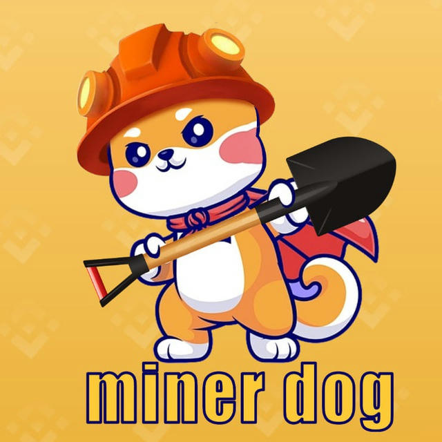 MinerDogPool矿池官方频道