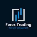 Forex Trading account management