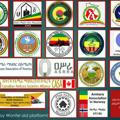 Amhara Emergency Fund public Informational Channel 💚💛❤