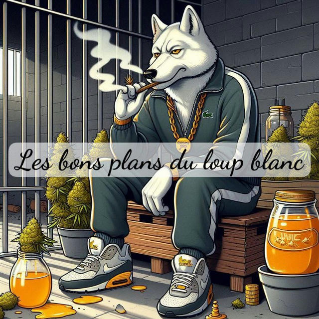 🐺🤍💨🏴‍☠️Les bon plans du loup blanc 🐺🤍💨🏴‍☠️