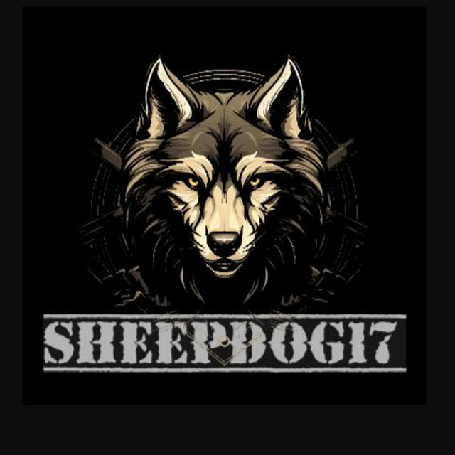 Sheepdog17