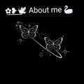 ✿꯭❥꯭🕊 About me 🦢