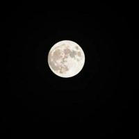 My_moon_قمري💛🌼🌛