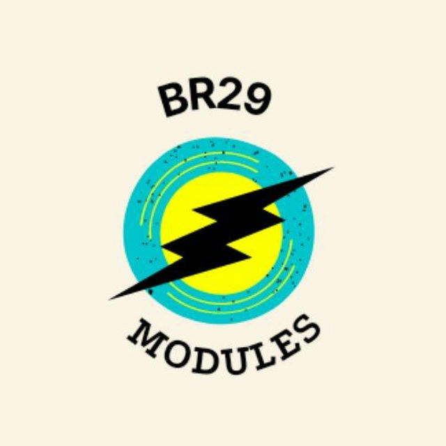 BR29 MAGISK MODULES