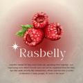 Rasbelly <💗>