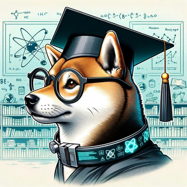 Dr. Doge's Channel