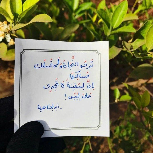 زَادُ المِيعاد"💚.