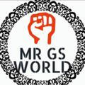 MR GS WORLD