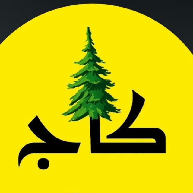 عمده پیرکس و بامبو