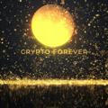 Crypto Forever Premium