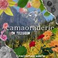 ✷ Camaoraderie! (｡•̀ᴗ-)✧ semi rest
