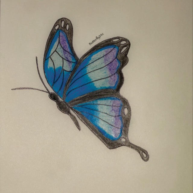 🦋