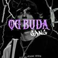 OG BUDA GANG