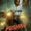 Pushpa (2021) Movie