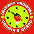 Qeerroo Oromiyaa