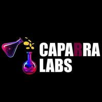 Caparra Labs