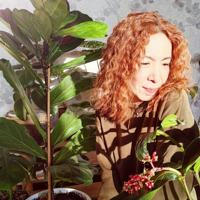 Gumidok_jungle 🌿 Растения и цветы.