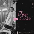 📁🎀 ִ ۫ ִ Tinny - cookie! ࣪ ׅ