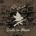Birds in Shām