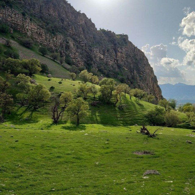 منتهی الیه