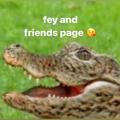 fey and friends page