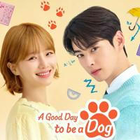 💎A Good Day To Be a Dog / Um Bom Dia para Ser Um Cachorro / Lovely Again Today (2023)