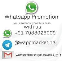 Telegram promotion
