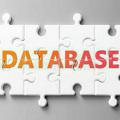 DATABASE