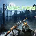 UZBEK_PUBGM