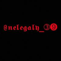 Nelegaly_39