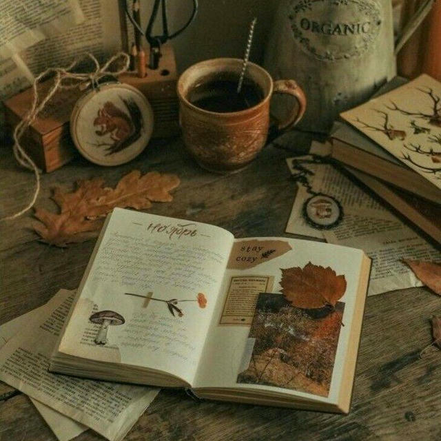 ♡₊˚ 🦢 your— place