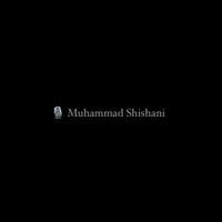 Muhammad shishani
