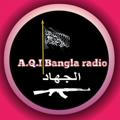 AQI Bangla radio একিউ আই বাংলা রেডিও