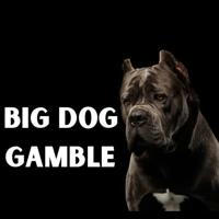 BigDog🎲Gamble 🐶