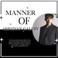 Abrizyan Galery - PROMO.