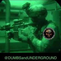 D.U.M.B.S and Underground War