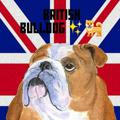 British buldog🐕/ОБУЧЕНИЕ