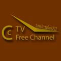 CCTV (Free Channel)