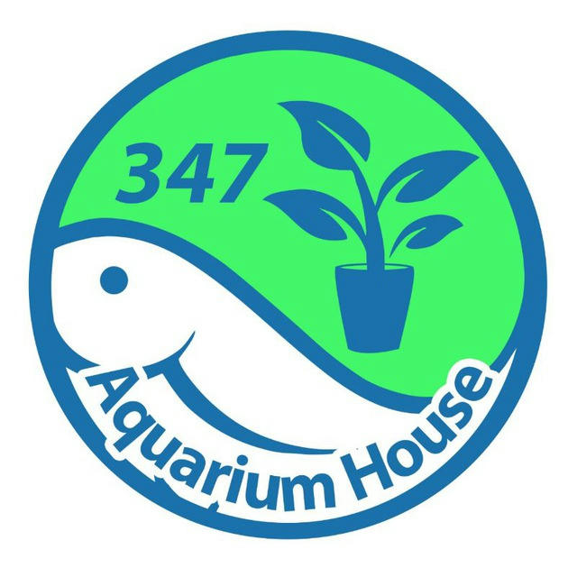 347 Aquarium House