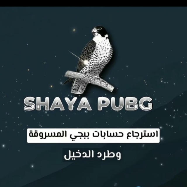 SHAYA PUBG