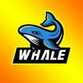 Future Whales Lounge Channel