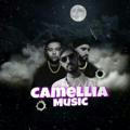 camellia music