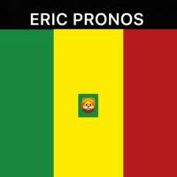 ÉRIC PRONOS 🇸🇳🦁FIER DÊTRE SÉNÉGALAISE 🛐